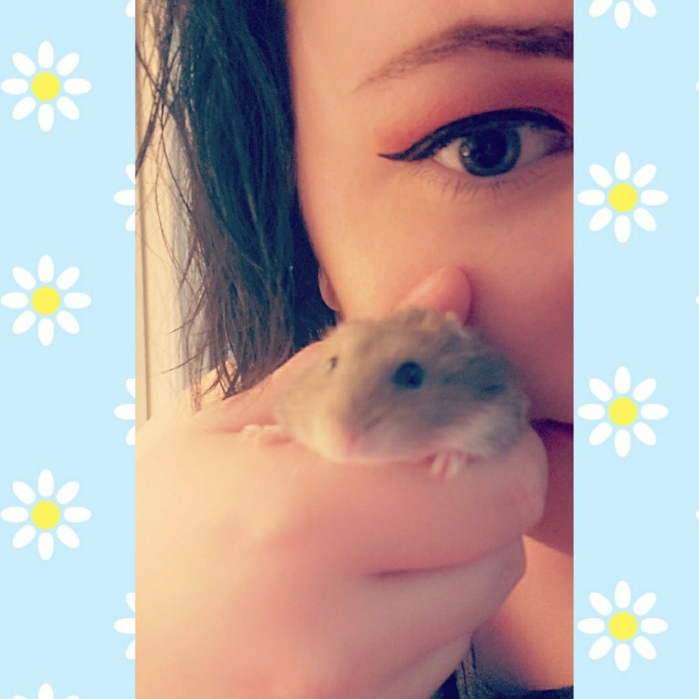 Meet your Posher, Ashley